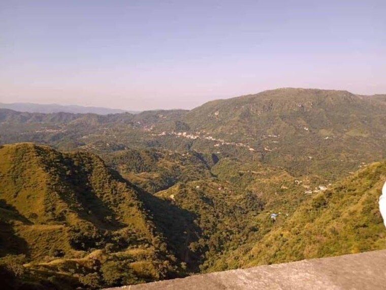 Regional Horticultural Research_Training Station-5